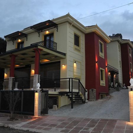 Apartament Dominique Meteora House Kalambaka Zewnętrze zdjęcie
